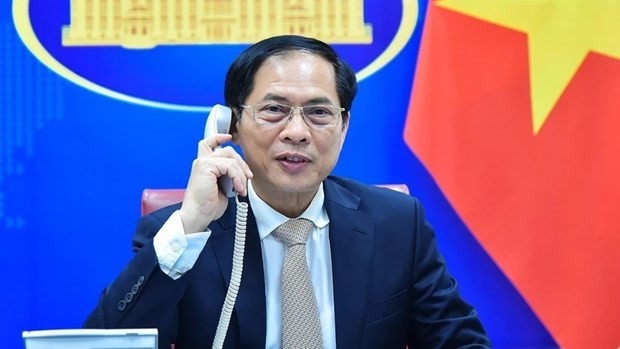 Vietnamese Minister of Foreign Affairs Bui Thanh Son. (Photo: VNA)
