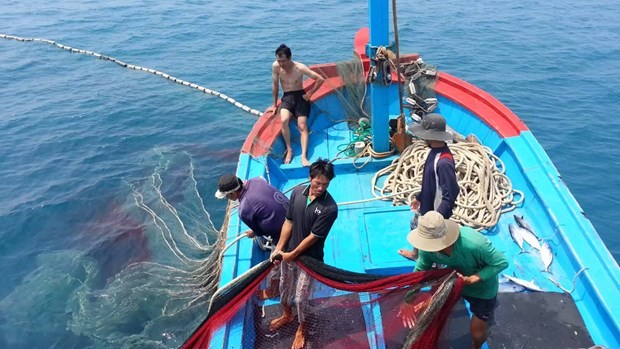 Deputy PM orders greater efforts in IUU fishing fight