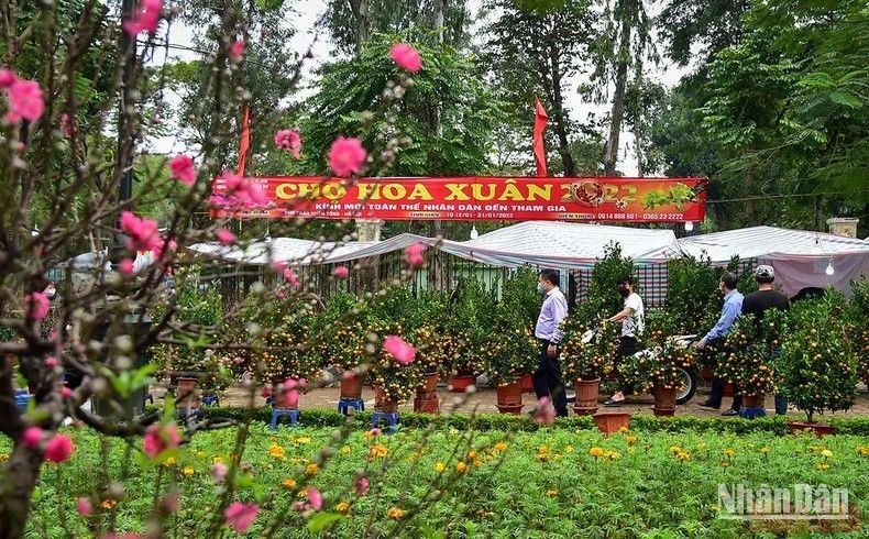 A spring flower market in Hanoi. (Photo: NDO/Thanh Dat)