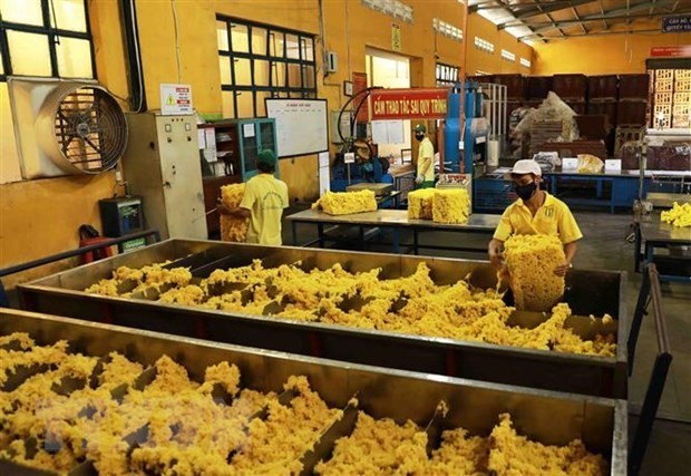 A rubber trading floor expected to be put into operation in Ho Chi Minh City this year (Photo: VNA)