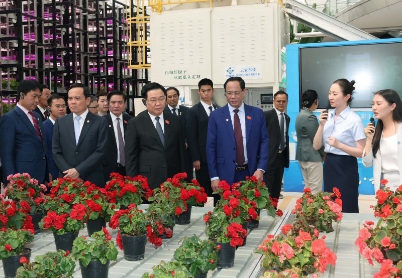 NA Chairman Vuong Dinh Hue and his entourage visit Yuntianhua Green Agricultural Innovation Service Centre (Photo: VNA)