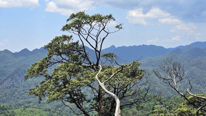 Phong Nha-Ke Bang National Park.