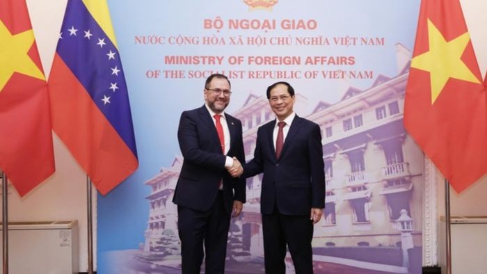 Minister of Foreign Affairs Bui Thanh Son and his Venezuelan counterpart Yván Gil Pinto. (Photo: VNA)