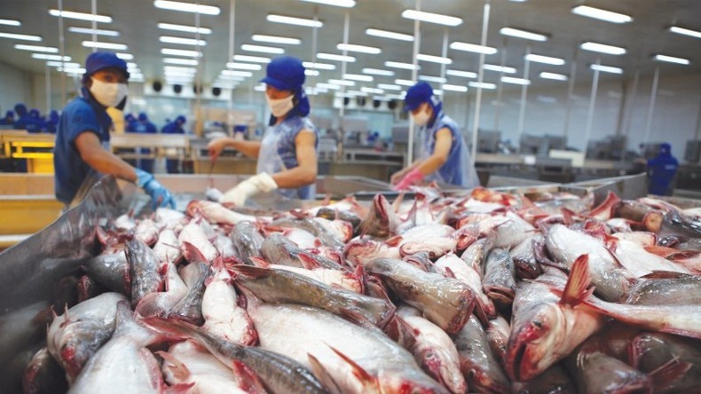 Vietnam's seafood exports are expected to recover in the fourth quarter of 2024.