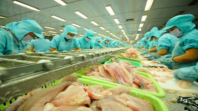 Free trade pacts boost Vietnamese shark catfish exports 