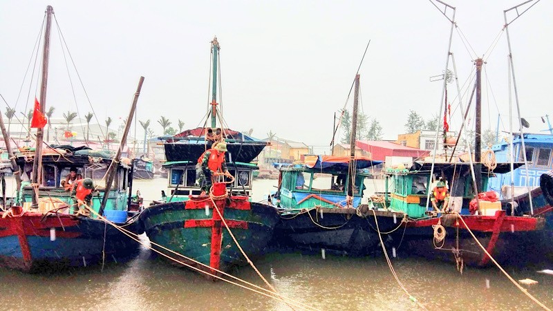 Fishing boats in Hai Phong are banned from going to the sea ahead of Typhoon Prapiroon's arrival.