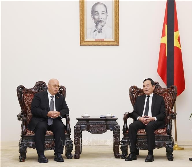 Deputy PM Tran Luu Quang (right) talks to Minister of War Veterans and Rights Holders of Algeria Laid Rebiga at the meeting in Hanoi on July 25. (Photo: VNA)