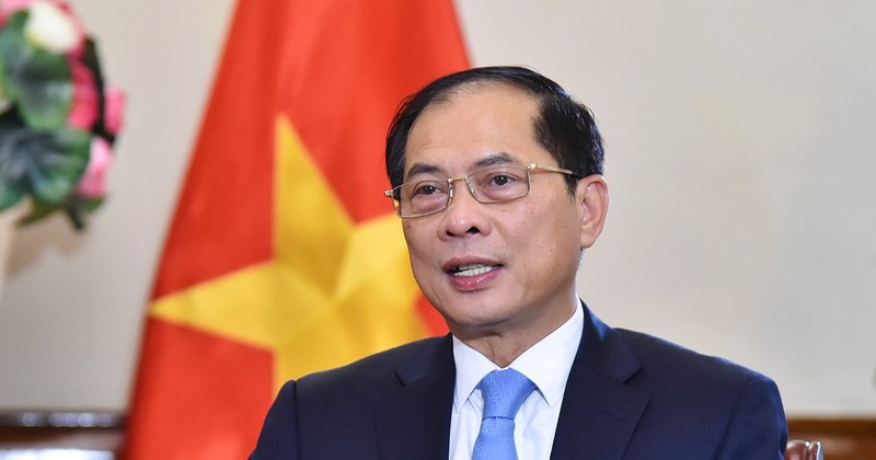 Deputy Prime Minister and Minister of Foreign Affairs Bui Thanh Son. (Photo: VNA)