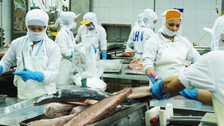 Seafood is one of the industries with strong export growth to the Americas. (Photo: Nam Anh)