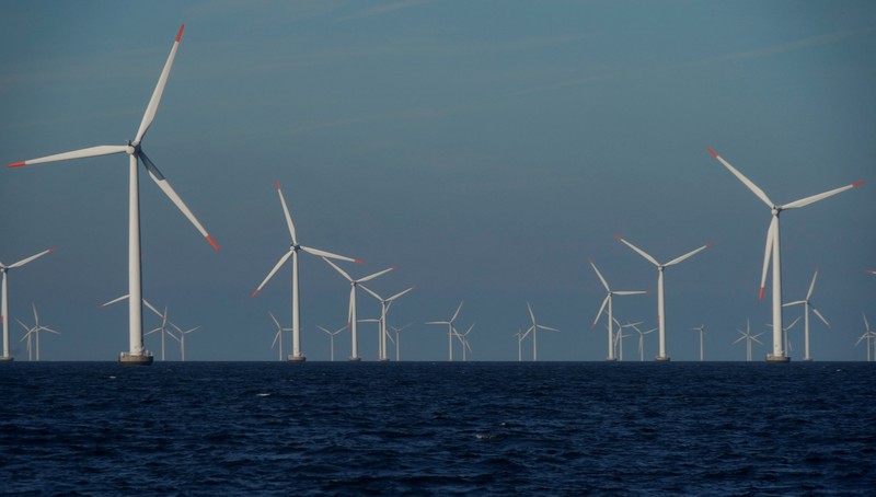 A view of the turbines at an offshore wind farm near Nysted, Denmark, September 4, 2023. (Photo: Reuters)