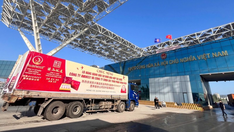 The first shipment of bird's nests exported through the Bac Luan II Bridge Border Gate in Quang Ninh Province. (Photo: VOV)