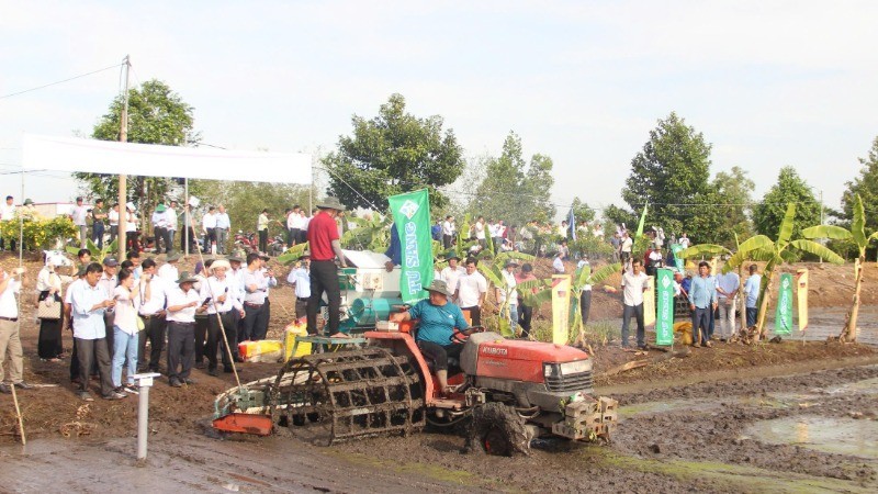 The demonstration of low-carbon rice cultivation.