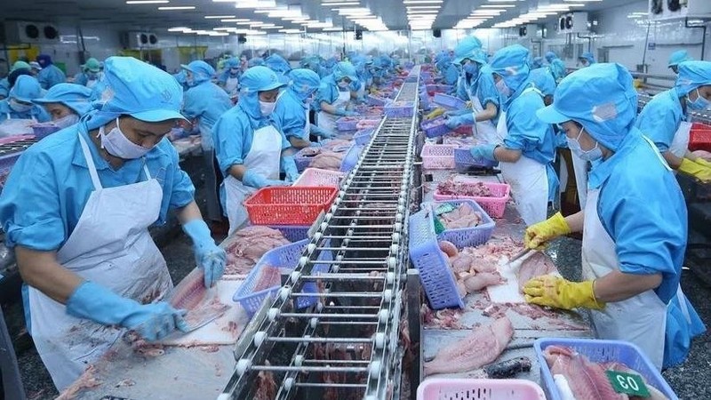 Seafood export value had reached 8.33 billion USD of October 2024, a 12% increase year-on-year. (Photo: VNA)