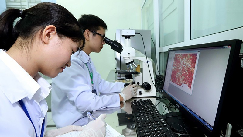 Students in practice at the Vietnam National University of Agriculture.