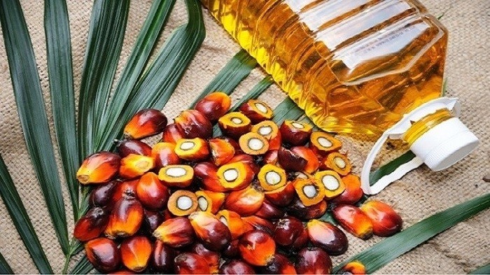 Malaysia, the world's second-largest palm oil producer, on Thursday maintained its crude palm oil (CPO) export tax at 8 percent.