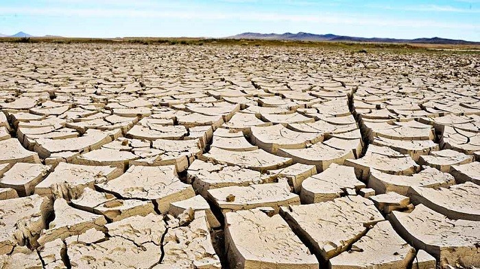 Extreme hot weather caused by El Nino phenomenon is predicted to drag up to 870,000 hectares of agricultural lands in Indonesia into drought and crop failures, Agriculture Minister Syahrul Yasin Limpo said Tuesday. (Image for Illustration)