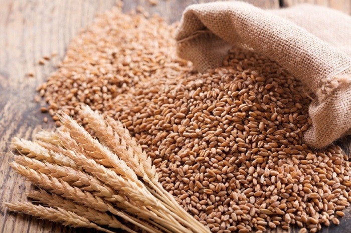 Italian farmers and consumers are demanding that the government limit foreign durum wheat imports to keep domestic producers in business and ensure greater food security.