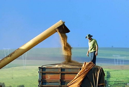 Brazil's grain harvest could reach a record 317.6 million metric tons, a 16.5 percent increase over the previous harvest, according to a report released Thursday by the state-owned National Supply Company.