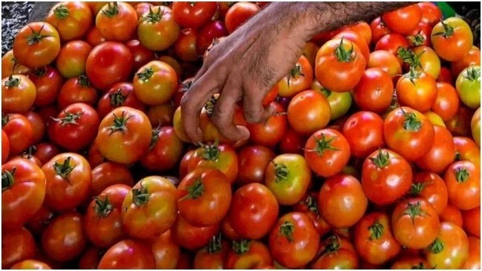 The Indian government asked two government-run agencies on Wednesday to sell tomatoes at a further reduced price in a bid to control the rising prices of tomatoes in the South Asian country.