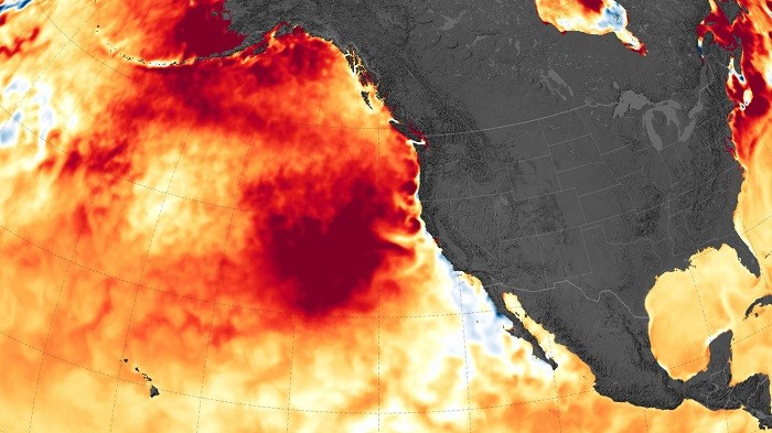 Heatwaves are expected to persist in a large part of the world throughout August, an adviser on extreme heat said on Friday, following on from record temperatures in recent weeks.