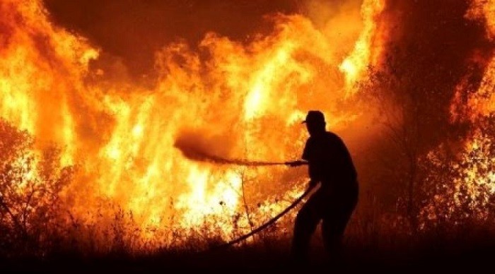 Firefighters in Greece battled flames burning for the 10th day on the island of Rhodes, while new blazes erupted on the mainland that destroyed farms and factories overnight and left farmers rushing to evacuate their animals.