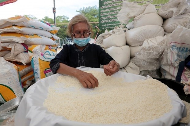 Thailand's rice export surged 11.9 percent year on year to 5.29 million tons as of Aug. 29 this year, official data showed on Thursday.