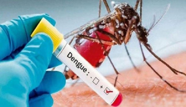 The health ministry of Pakistan's eastern Punjab province said on Sunday that 101 new cases of dengue fever had been reported during the last 24 hours in the province.