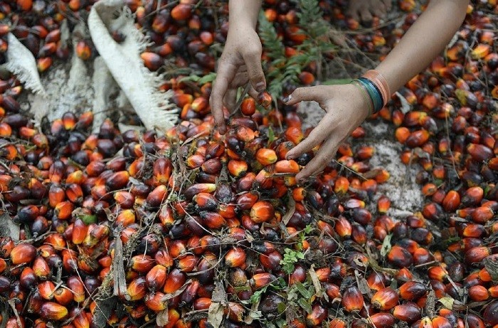 Malaysia's palm oil stocks hit a four-month low at the end of December as production slumped to its lowest level in six months, offsetting a slowdown in exports.