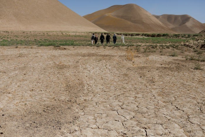A parched field is pictured in Balkh province, Afghanistan, August 4, 2023. (File Photo: Reuters)