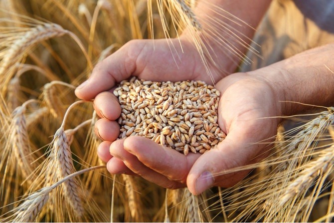 Global food prices rose for the third consecutive month in May, the United Nations Food and Agriculture Organization (FAO) reported Friday. The main factors pushing global food prices higher were prices for grains and cereals.