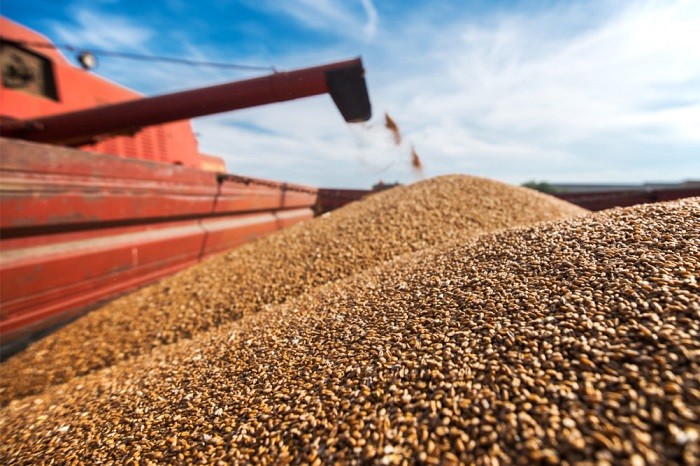 Ukraine has harvested about 56.6 million tons of grain, oilseeds and industrial crops since this year's harvesting campaign began, the country's agriculture and food ministry said on Friday.