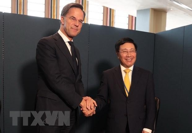 Permanent Deputy Prime Minister Pham Binh Minh (R) and Dutch PM Mark Rutte. (Photo: VNA)