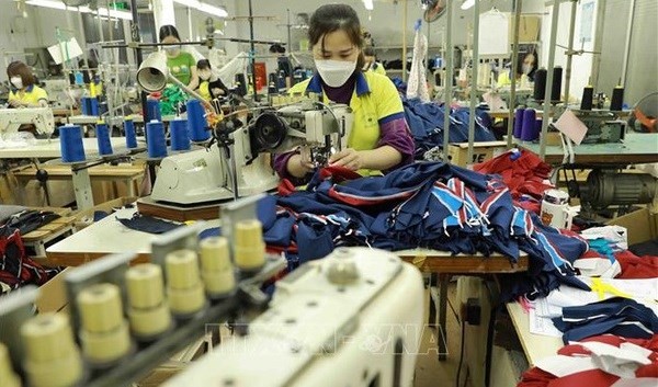 Experts expect the market will recover in the second or third quarter with orders increasing again (Photo: VNA)