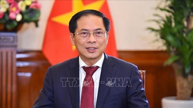 Minister of Foreign Affairs Bui Thanh Son (Photo: VNA)