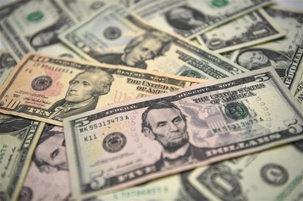 US dollars (Illustrative photo: AFP/VNA)