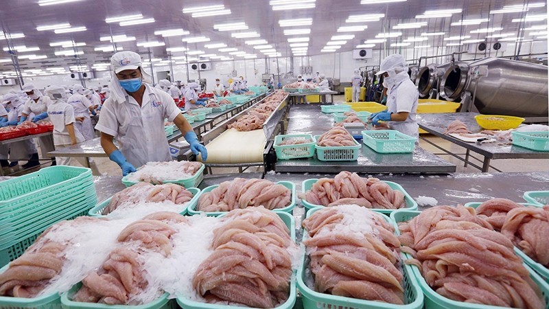 Seafood exports are facing many difficulties.