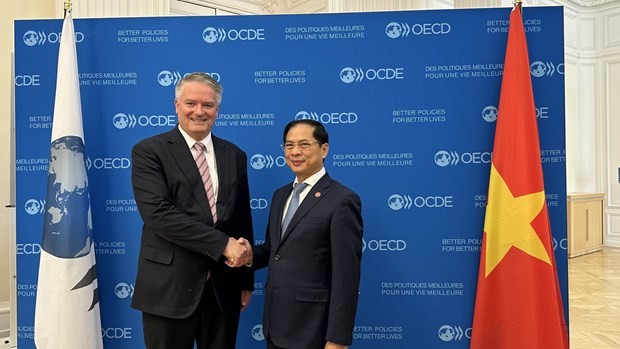 Vietnamese Minister of Foreign Affairs Bui Thanh Son (R) and Secretary-General of the Organisation for Economic Co-operation and Development (OECD) Mathias Cormann. (Photo: VNA)