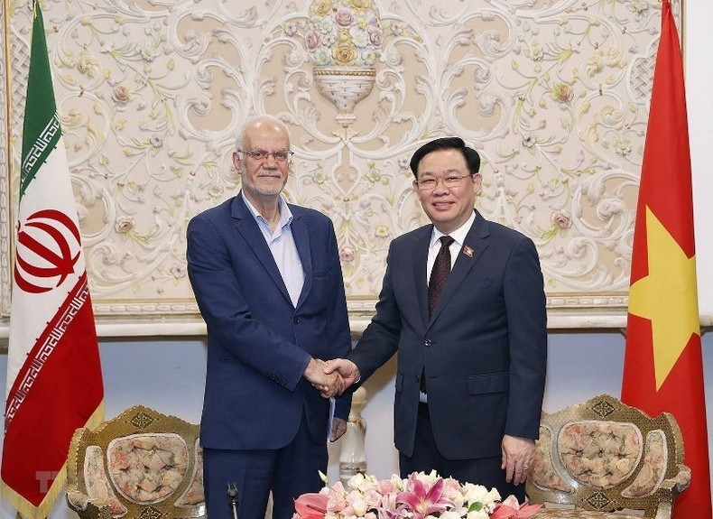 NA Chairman Vuong Dinh Hue (R) receives President of the Iran-Vietnam Friendship Association Seyed Kamal Sajjadi. (Photo: VNA)