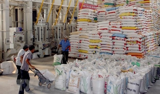 Vietnam can export over 7.5 million tonnes of rice this year. (Photo: VNA)