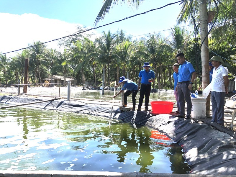 Grofarm, a model of high-tech shrimp farming in Hai Ninh Commune, Quang Ninh District, Quang Binh Province.