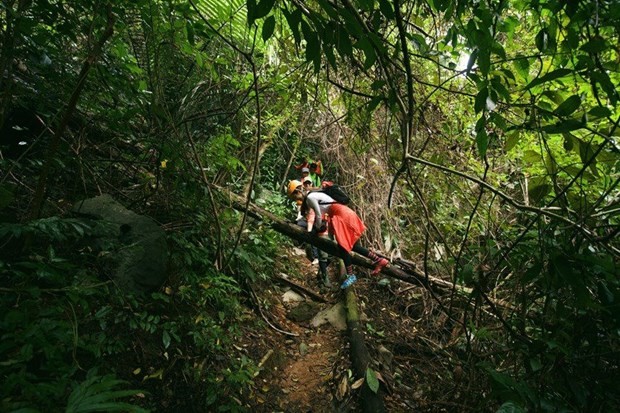 Tourists explore the Phong Nha - Ke Bang National Park in Quang Binh province. (Photo: VNA)