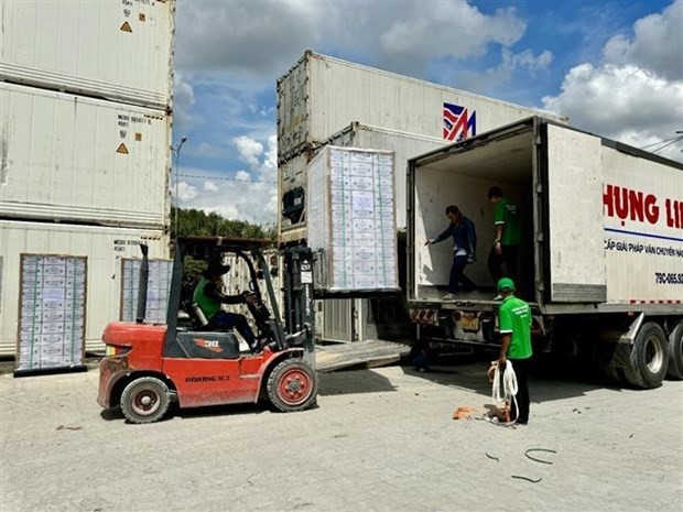 First lot of a drink made from fresh coconut nectar exported to the US (Photo: VNA)