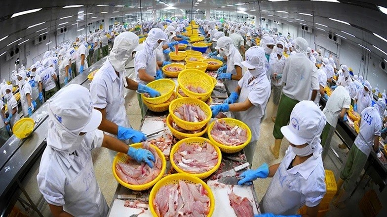 Seafood is one of Vietnam's products of strength in the CPTPP market.