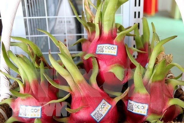 Dragon fruit - a key Vietnamese agricultural product for export.(Photo: VNA)