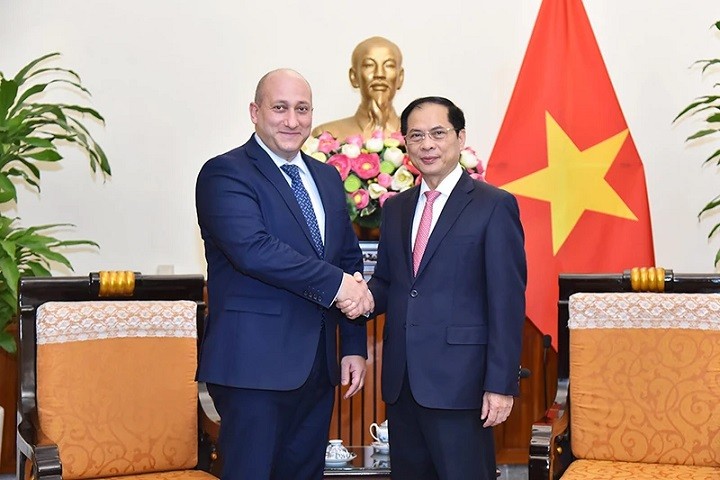 Minister of Foreign Affairs Bui Thanh Son receives Georgian Deputy Minister of Foreign Affairs Alexander Khvtisiashvili. (Photo: MoFA)