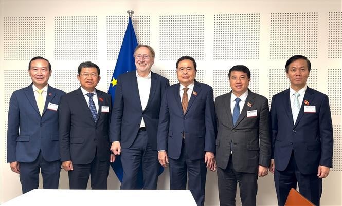 Permanent Vice Chairman of the Vietnamese National Assembly (NA) Tran Thanh Man (third, right) and Chairman of the European Parliament (EP)'s Committee on International Trade (INTA) Bernd Lange (third, left) in a group photo. (Photo: VNA)