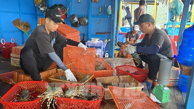 Vietnam exports shrimp to 100 countries, territories: Authority