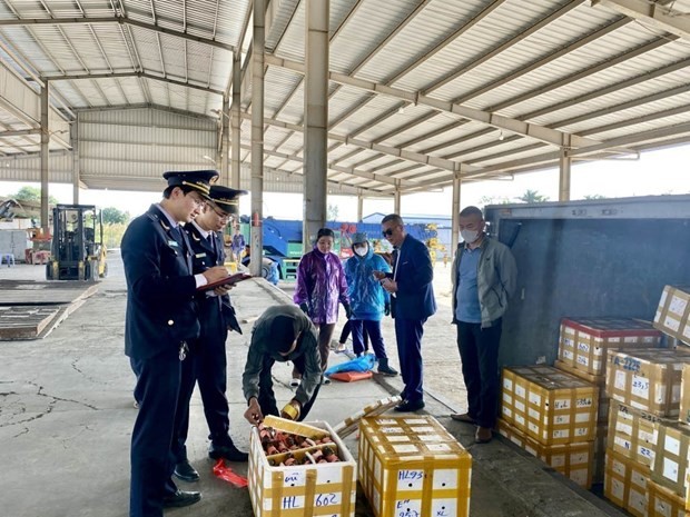 Customs officials of the Bac Luan 2 Bridge border gate examine imports. (Photo: VNA)