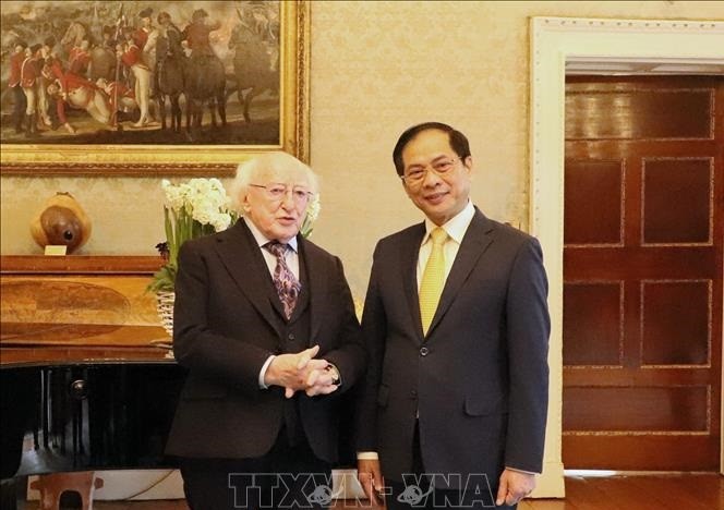 President of Ireland Michael D. Higgins (L) and Vietnamese Minister of Foreign Affairs Bui Thanh Son. (Photo: VNA)