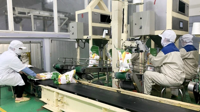 Packaging rice for export at a factory of Loc Troi Group Joint Stock Company in Thoai Son District, An Giang Province. (Photo: Tran Ngoc)